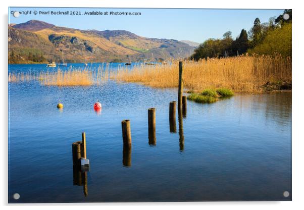 Derwentwater Borrowdale in Lake District Acrylic by Pearl Bucknall