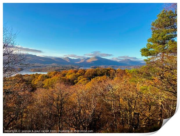Loch Lomond looking from the summit of Inchcailloch Print by yvonne & paul carroll