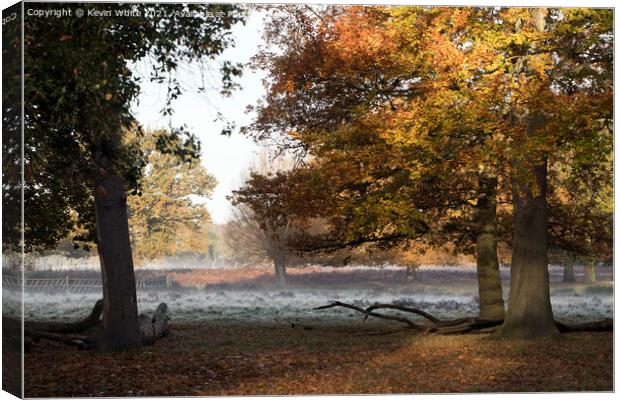 Autumn frost Canvas Print by Kevin White