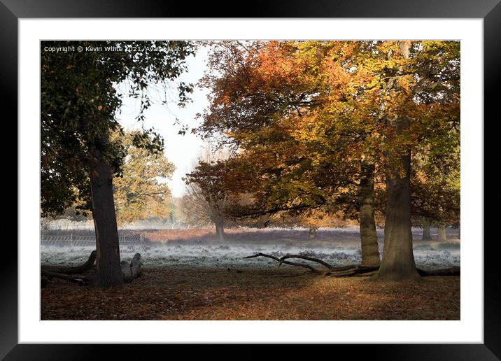 Autumn frost Framed Mounted Print by Kevin White