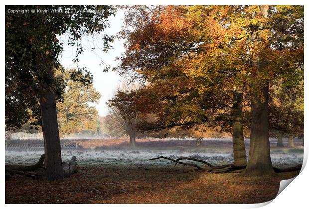 Autumn frost Print by Kevin White