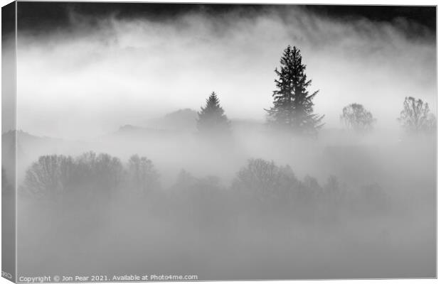 Trees in Mist Canvas Print by Jon Pear