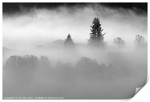 Trees in Mist Print by Jon Pear