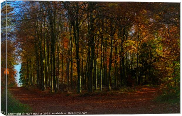 The curve in the path, an autumn woodland. Canvas Print by Mark Rosher