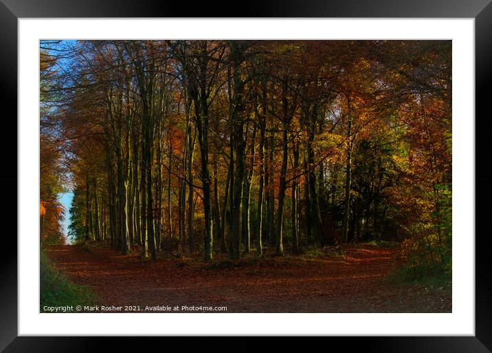 The curve in the path, an autumn woodland. Framed Mounted Print by Mark Rosher