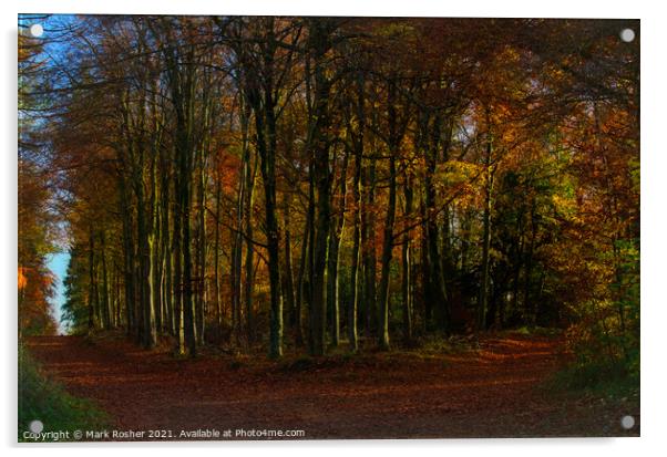 The curve in the path, an autumn woodland. Acrylic by Mark Rosher