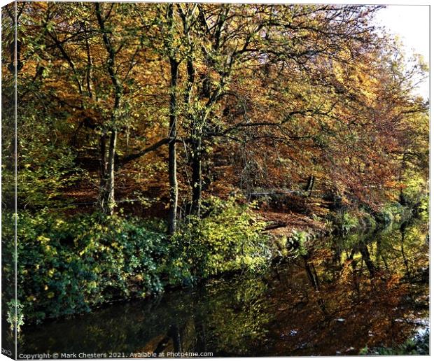Majestic Autumn Trees Canvas Print by Mark Chesters