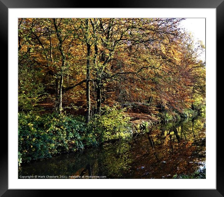 Majestic Autumn Trees Framed Mounted Print by Mark Chesters