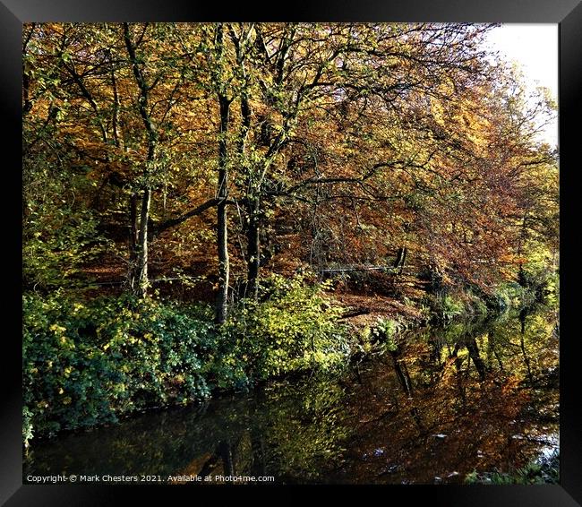 Majestic Autumn Trees Framed Print by Mark Chesters