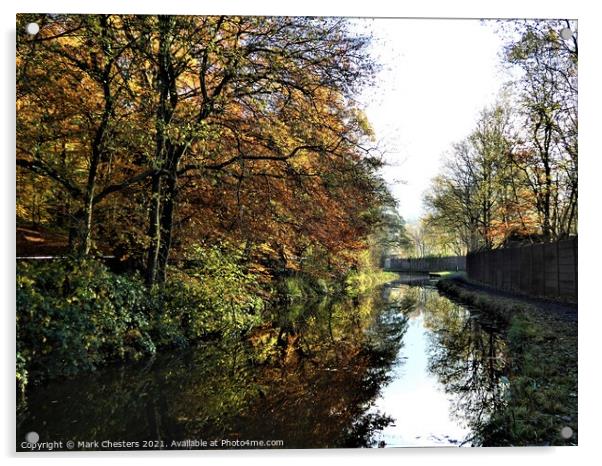 Enchanting Autumn Canal Acrylic by Mark Chesters