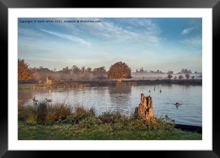 Low line mist Bushy Park Framed Mounted Print by Kevin White