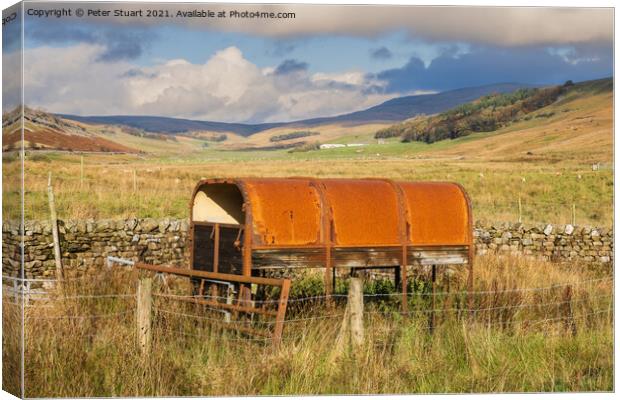 rotting trailer in kingsdale Canvas Print by Peter Stuart