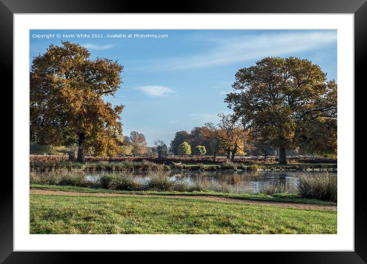 November colour Bushy Park Framed Mounted Print by Kevin White