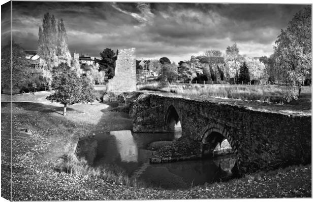 Medieval Exe Bridge   Canvas Print by Darren Galpin