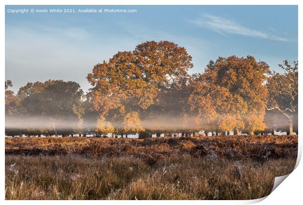 Hovering  mist Print by Kevin White