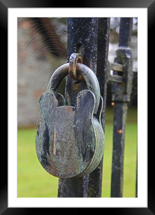 Lock and a Spider Web Framed Mounted Print by Amy Rogers