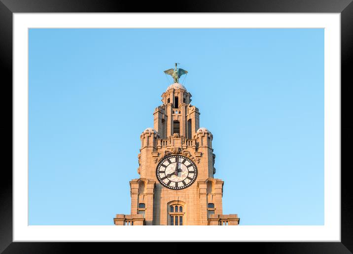 Liver Bird high above the Liverpool skyline Framed Mounted Print by Jason Wells