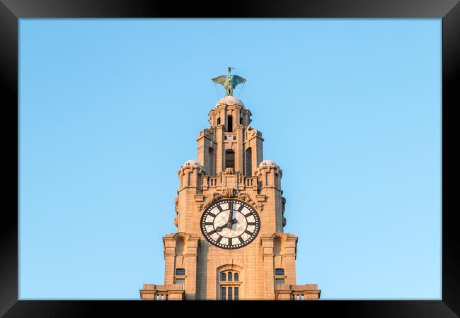 Liver Bird high above the Liverpool skyline Framed Print by Jason Wells