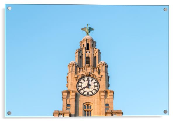 Liver Bird high above the Liverpool skyline Acrylic by Jason Wells