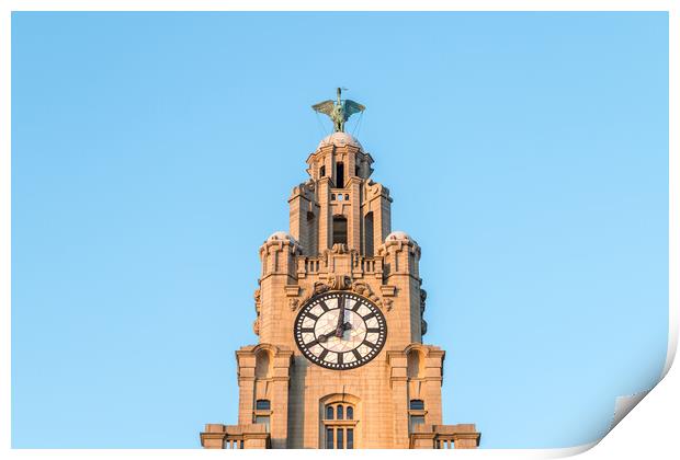 Liver Bird high above the Liverpool skyline Print by Jason Wells