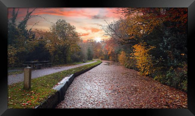 The Monmouthshire and Brecon Canal Framed Print by Leighton Collins