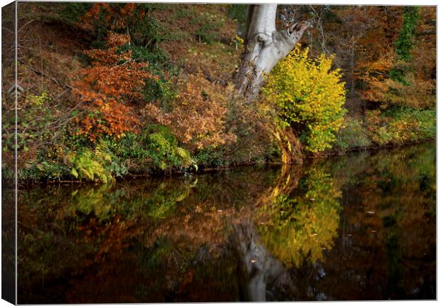 Autumn reflections on a canal Canvas Print by Leighton Collins