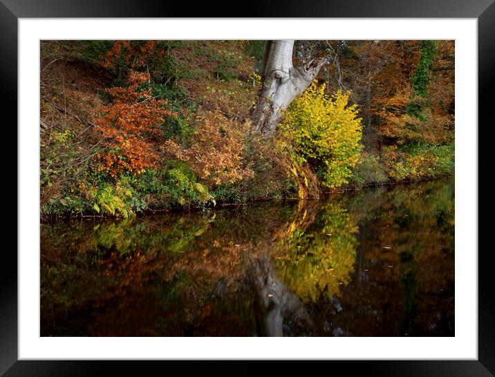 Autumn reflections on a canal Framed Mounted Print by Leighton Collins