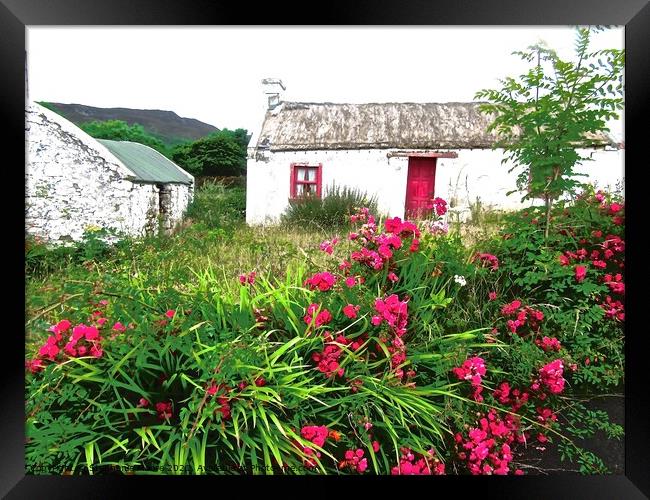 Abandoned Cottage Framed Print by Stephanie Moore