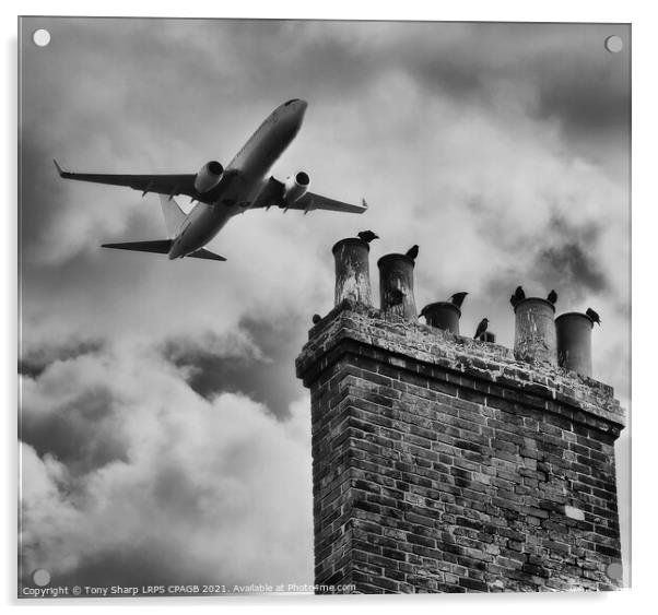 FLIGHT PATH Acrylic by Tony Sharp LRPS CPAGB