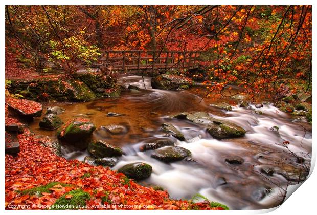 River Rothay Ambleside in Autumn Print by Denley Dezign