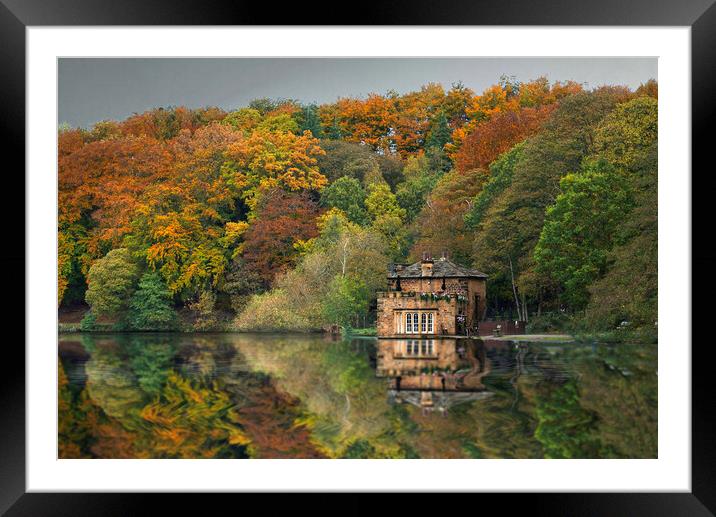 Newmillerdam Boathouse and Autumn Trees Framed Mounted Print by Alison Chambers