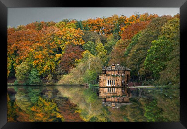 Newmillerdam Boathouse and Autumn Trees Framed Print by Alison Chambers