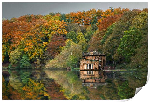 Newmillerdam Boathouse and Autumn Trees Print by Alison Chambers