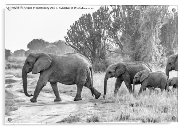 Family of elephants on the move, Uganda mono Acrylic by Angus McComiskey