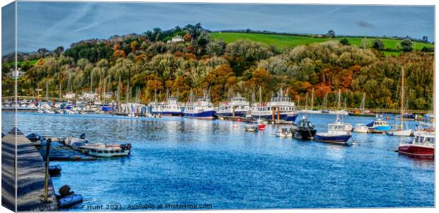 Autumn On The River Dart Canvas Print by Peter F Hunt