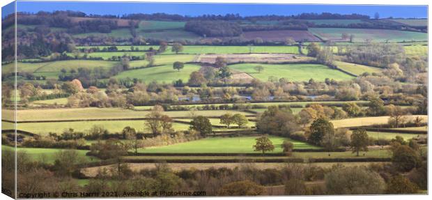 Slice of Cotswolds Canvas Print by Chris Harris