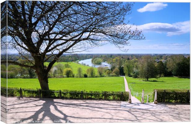 The Thames from Richmond Hill Canvas Print by Chris Harris