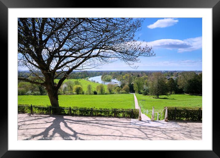 The Thames from Richmond Hill Framed Mounted Print by Chris Harris