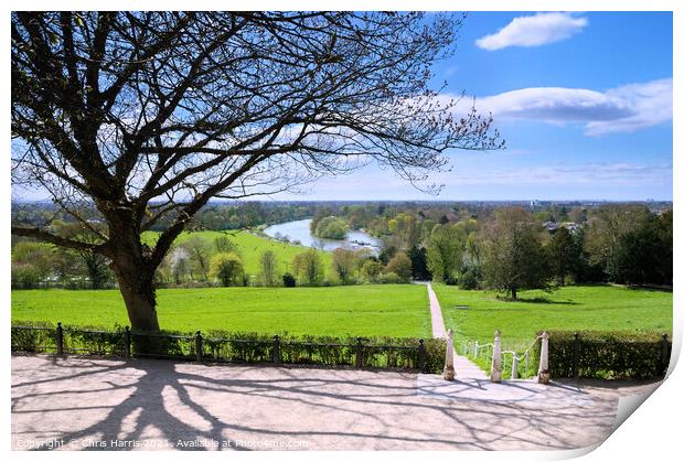 The Thames from Richmond Hill Print by Chris Harris