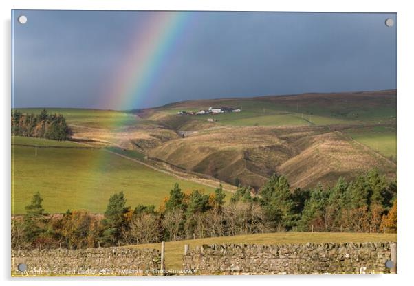 Howgill Farm Rainbow Acrylic by Richard Laidler