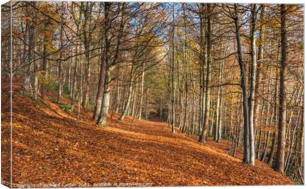 Autumn Woodland at Middleton in Teesdale Canvas Print by Richard Laidler