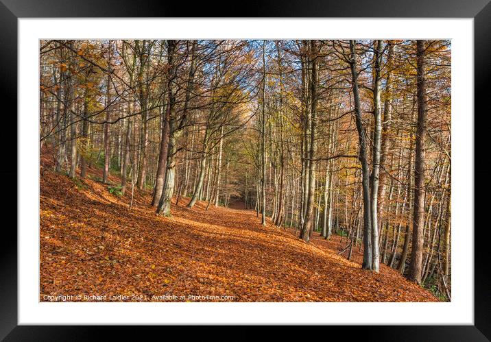 Autumn Woodland at Middleton in Teesdale Framed Mounted Print by Richard Laidler