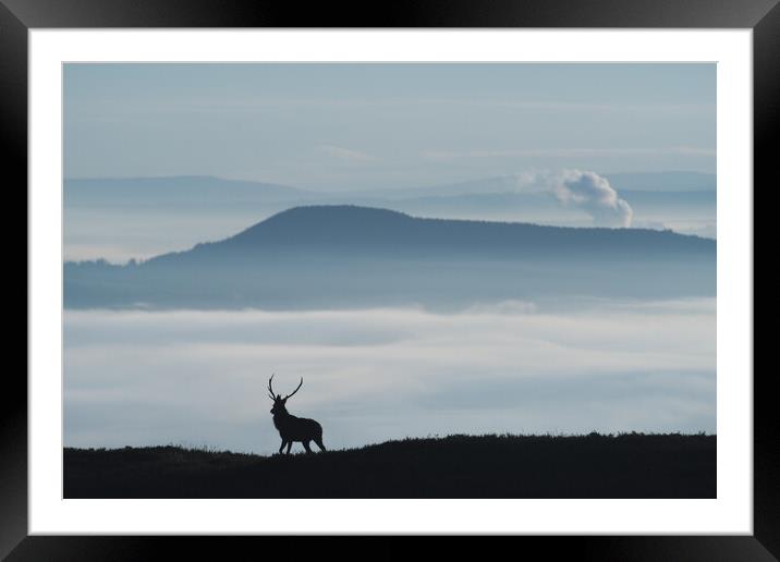 Foggy Silhouettte Framed Mounted Print by Macrae Images