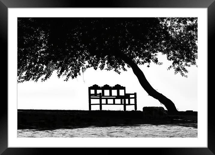 The bench under the tree Framed Mounted Print by Dimitrios Paterakis
