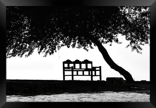 The bench under the tree Framed Print by Dimitrios Paterakis