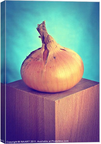Onion Canvas Print by