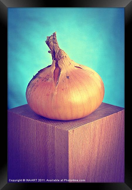 Onion Framed Print by