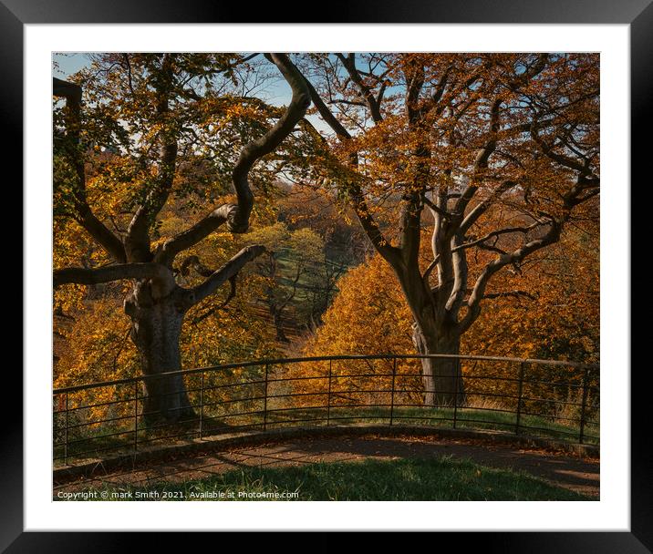 autumnal trees, greenwich park Framed Mounted Print by mark Smith