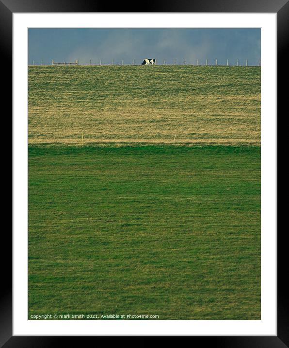 cow on a hill Framed Mounted Print by mark Smith