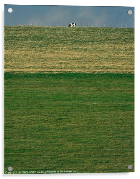cow on a hill Acrylic by mark Smith